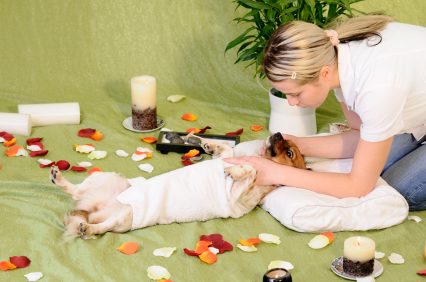 dog-massage
