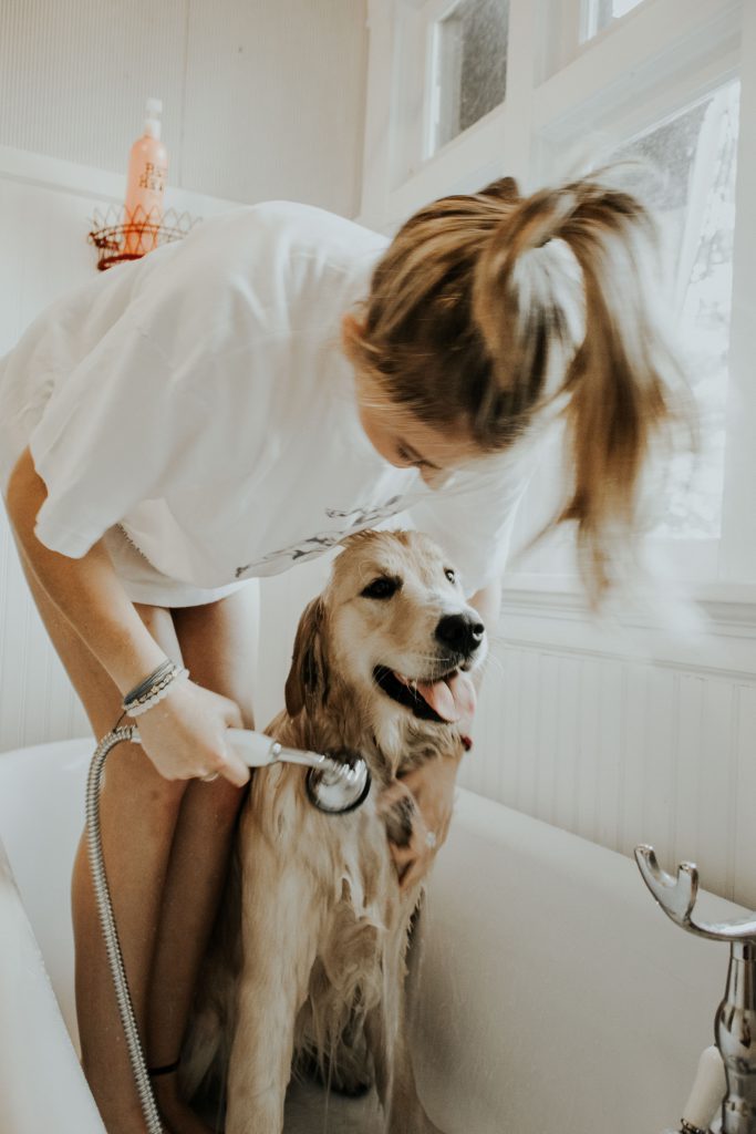 dog owners at-home grooming guide | Fitdog Blog: Off the Leash | Los Angeles dog daycare, grooming, sports, training