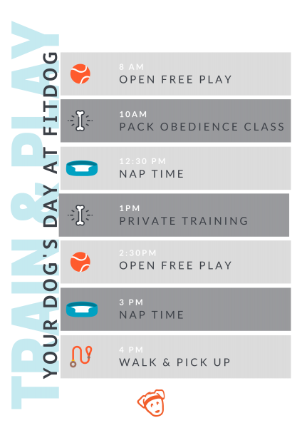 Train & Play Schedule | Fitdog Los Angeles Daycare Training Sports Adventure