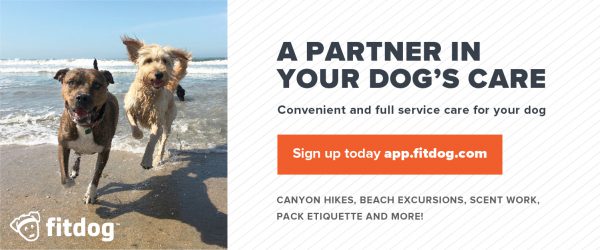 Join Our Pack | Fitdog Blog