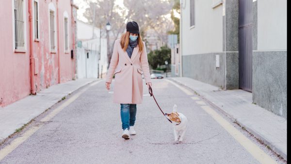 Walking Dog during COVID-19 | Fitdog Blog