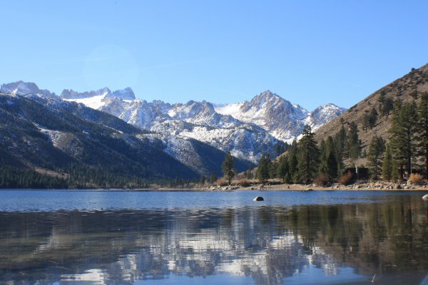 Dog-Friendly Camping At Twin Lakes CA | Fitdog Blog