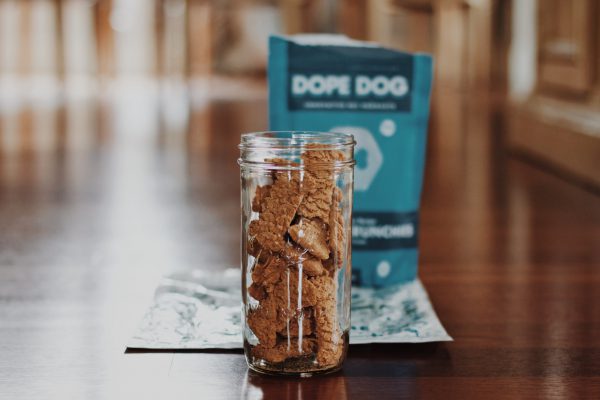 Calming Frozen Dog Treats for Summer - Fitdog Blog